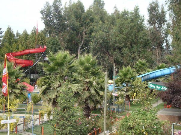 Jardines con palmeras y toboganes al fondo